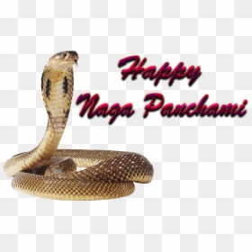 Naga Panchami Free Png - Nag Panchami Images Png, Transparent Png - naga png