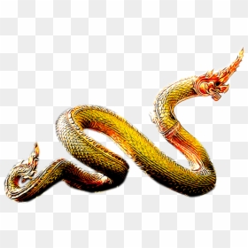 พญานาค วิรูปักษ์, HD Png Download - naga png