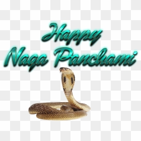 Naga Panchami Transparent Png - Png Nagula Chavithi Items, Png Download - naga png