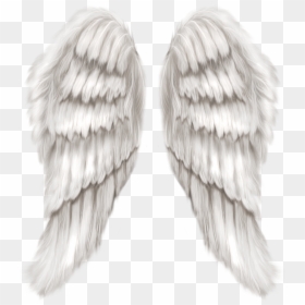 Realistic Angel Wings Png, Transparent Png - angel wing png