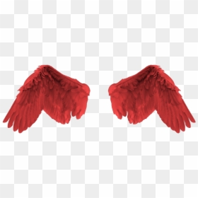 Portable Network Graphics, HD Png Download - angel wing png