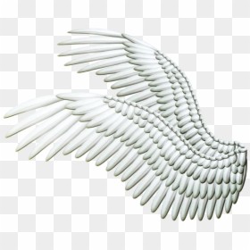 Angelwings Png, Transparent Png - angel wing png