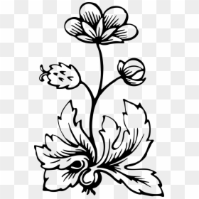 Flora Clipart, HD Png Download - leafy png