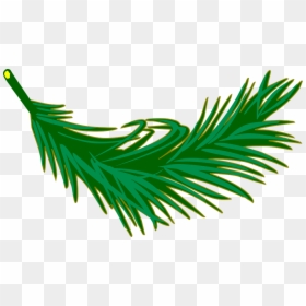 Palm Leaves Clip Art, HD Png Download - leafy png