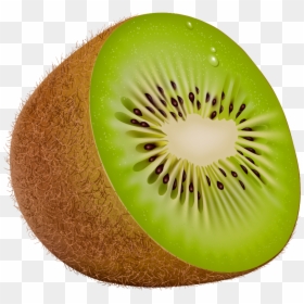 Fruits Clipart Kiwi, HD Png Download - kiwi png