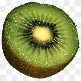 Kiwi Fruit Transparent Background, HD Png Download - kiwi png