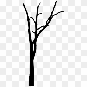 Dead Trees Silhouette Simple, HD Png Download - spooky forest.png
