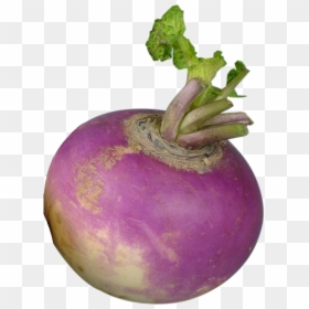 Turnip Png, Transparent Png - spookyforest.png