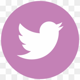 Light Pink Twitter Logo Png, Transparent Png - residentsleeper png