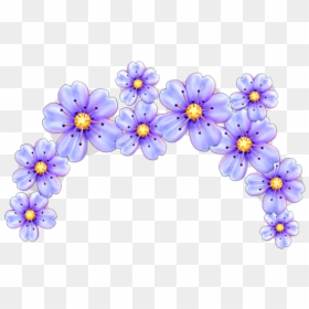 Transparent Emoji Flower Crown, HD Png Download - residentsleeper png