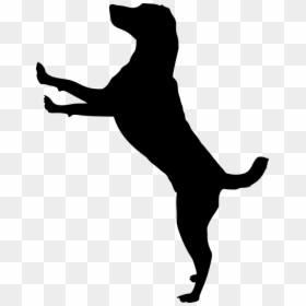 Dog Jumping Silhouette Clipart, HD Png Download - house silhouette png