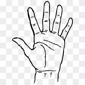 Clip Art Black And White Hand, HD Png Download - zombie hand png
