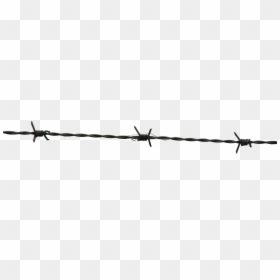Barbed Wire, HD Png Download - wires png