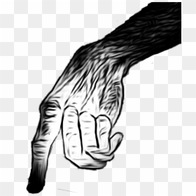Scary Hand Png, Transparent Png - zombie hand png