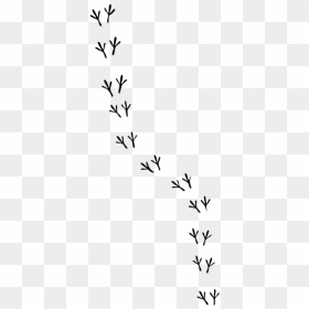 Cartoon Bird Footprints, HD Png Download - snowfall png