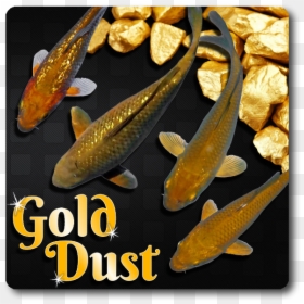 Expensive Mineral In The World, HD Png Download - gold dust png