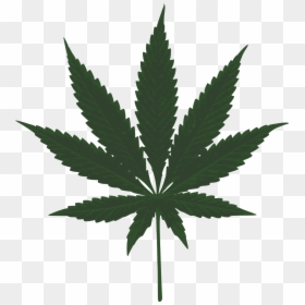 Marijuana Leaf Clip Art, HD Png Download - pot png