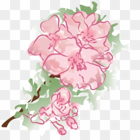 Transparent Watercolor Rose Clip Art, HD Png Download - png flower