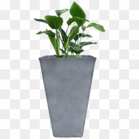 Tall Planters, HD Png Download - pot png