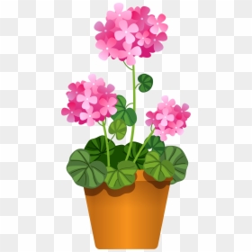 Flower In Pot Clipart, HD Png Download - pot png