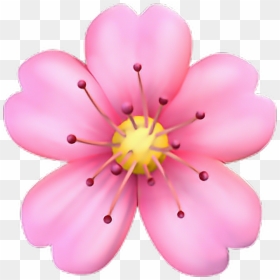 Cherry Blossom Emoji, HD Png Download - png flower