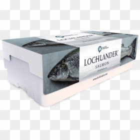 Pacific Saury, HD Png Download - salmon png