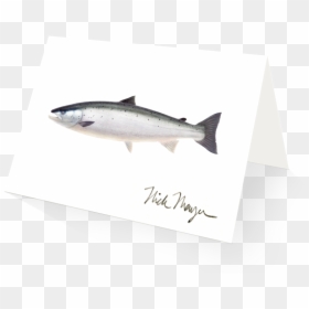 Thunnus, HD Png Download - salmon png