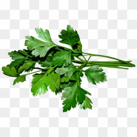 Organic-parsley, HD Png Download - green giant png