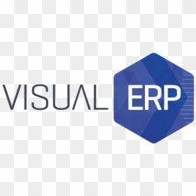 Visual Next Erp Software For Fashion Business - Software Erp Logo, HD Png Download - erp png