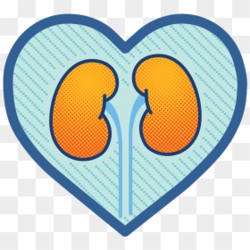 Osprey Medical And Ge Healthcare Launch New Educational - Kidney, HD Png Download - ge healthcare logo png