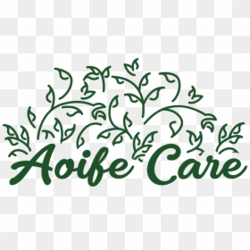 Aoife Care Company, HD Png Download - zoe kravitz png