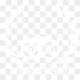 Tripping Png, Transparent Png - tripping png