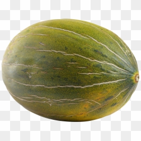 Melon, HD Png Download - single carrot png