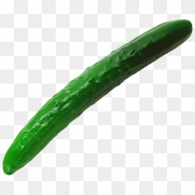 Single Cucumber Clipart - Cucumber, HD Png Download - single carrot png