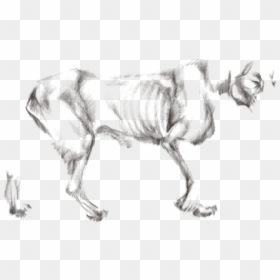 Sketch, HD Png Download - yukine png
