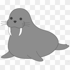 Walrus Earless Seal Clip Art Portable Network Graphics - Seal Cartoon Png, Transparent Png - california seal png