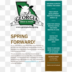 Georgia Sheep Events - Sheep Logo, HD Png Download - spring ahead png
