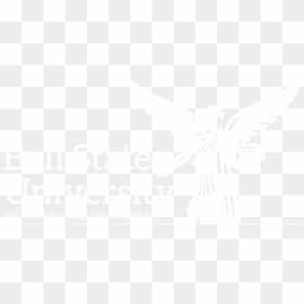 Ball State Flag Black And White Only, HD Png Download - ball state logo png