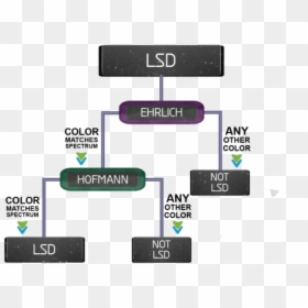 How To Test Lsd - Ehrlich Test Diagram Bunk Police, HD Png Download - lsd tab png
