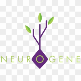 Neurogene Logo Png, Transparent Png - lsd tab png
