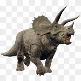   - Jurassic Park Triceratops Png, Transparent Png - jw png