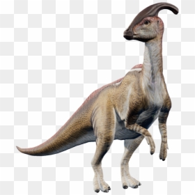   - Jurassic World Dinosaur Parasaurolophus, HD Png Download - jw png
