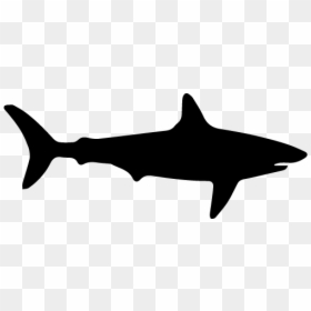 Miami Sharks Logo, HD Png Download - street sharks png