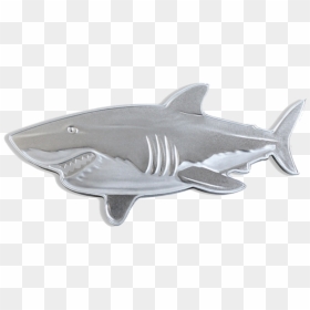 2$ Great White Shark, HD Png Download - street sharks png