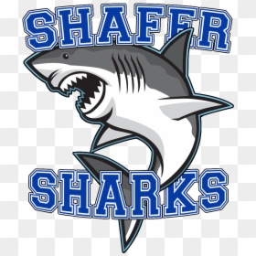 Shafer Middle School Bensalem Pa, HD Png Download - street sharks png