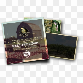 Tcf2019 Web Contest Post2 - Book Cover, HD Png Download - angry orchard png