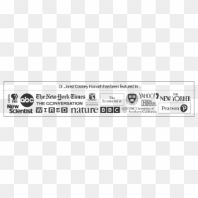 Calligraphy, HD Png Download - doctor fate png