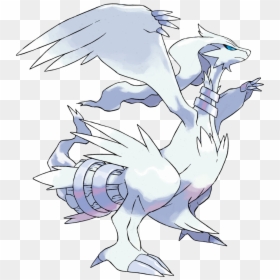 Nj Coding Practice - Pokemon Reshiram, HD Png Download - thundurus png