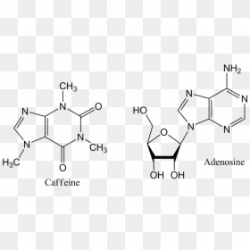 N6 2 O Dimethyladenosine, HD Png Download - caffeine molecule png