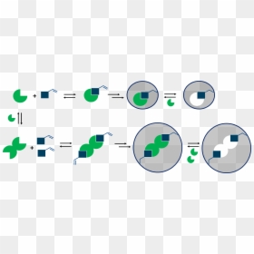 Circle, HD Png Download - caffeine molecule png